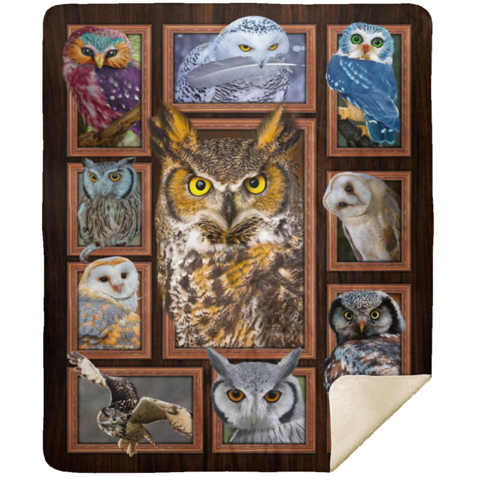 Owl Blanket, Owl 3D Fleece, Sherpa Blanket, Owl Lover Gift Ideas MSHM Premium Sherpa Blanket 50x60
