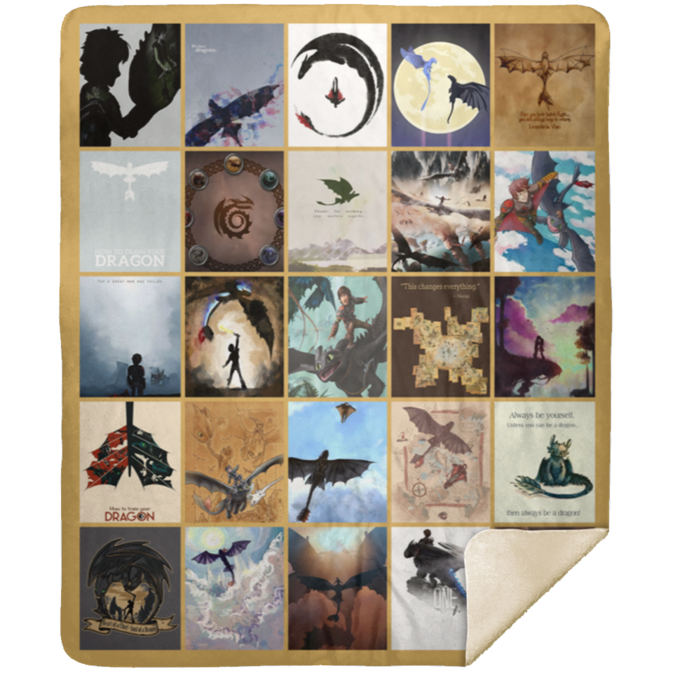 How to Train Your Dragon Blanket, How to Train Your Dragon Movies Fleece, Sherpa MSHM Premium Sherpa Blanket 50x60