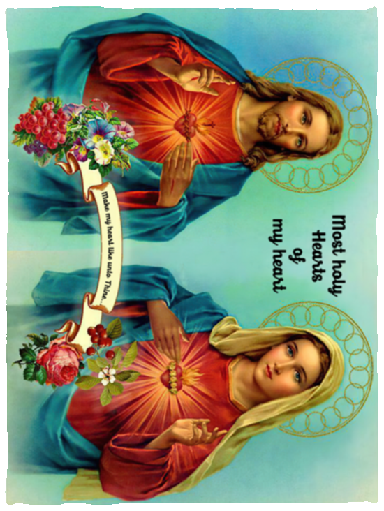 Mr.Jyotis Sacred and Immaculate Hearts Throw Blanket Soft Fleece Throw Blanket - VPS Cozy Plush Fleece Blanket - 30x40