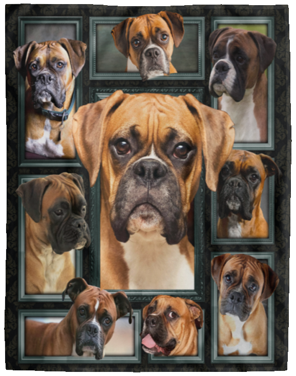 Boxer Dog Blanket, 3D Boxer Fleece, Sherpa Blanket VPL Cozy Plush Fleece Blanket - 60x80