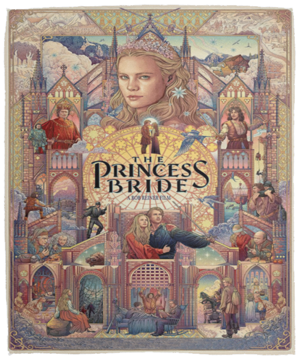 The Princess Bride Blanket, The Princess Bride Fleece, Sherpa Blanket Gifts - VPM Cozy Plush Fleece Blanket - 50x60