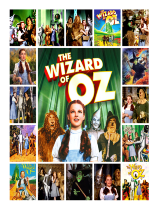 The Wizard Of Oz Fleece, Sherpa Blanket, The Wizard Of Oz - Judy Garland Blanket VPS Cozy Plush Fleece Blanket - 30x40