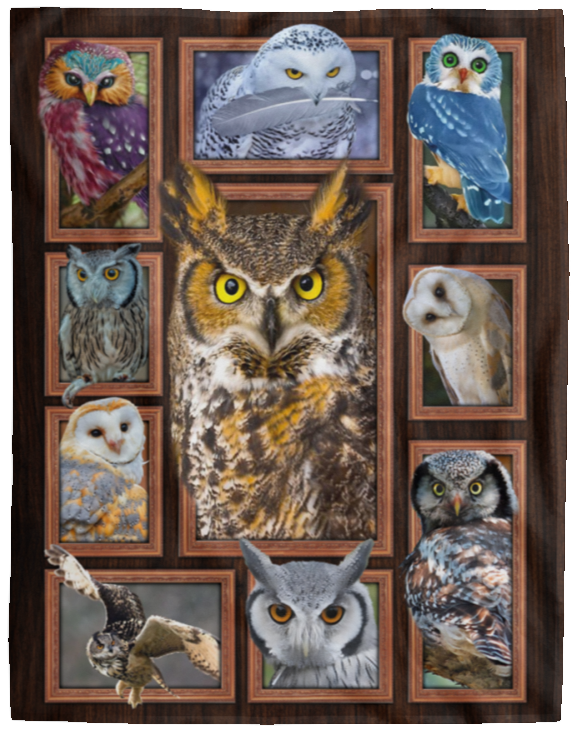 Owl Blanket, Owl 3D Fleece, Sherpa Blanket, Owl Lover Gift Ideas VPL Cozy Plush Fleece Blanket - 60x80