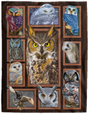 Owl Blanket, Owl 3D Fleece, Sherpa Blanket, Owl Lover Gift Ideas VPL Cozy Plush Fleece Blanket - 60x80