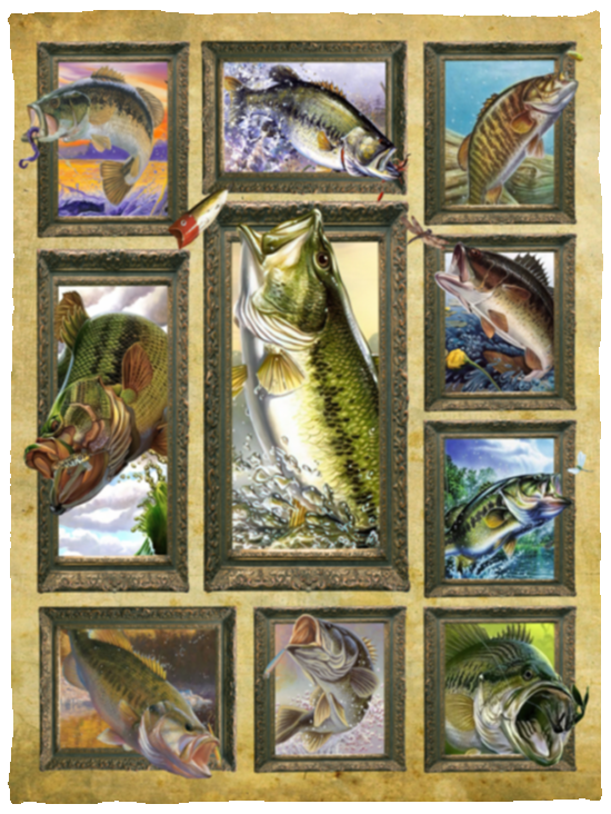 Fish 3D Blanket, Fishing Blanket Animals, Nature Fleece, Sherpa Blanket - VPS Cozy Plush Fleece Blanket - 30x40