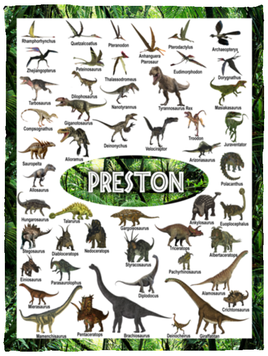 Preston - VPS Cozy Plush Fleece Blanket - 30x40