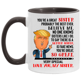 Beekind Sister Coffee Mug, Trump Mug for Sister, Funny Trump Gift for Women for Birthday, Christmas, Valentine, You Are A Great Sister Mug. Mothers Day Novelty Funny Coffee Mug, Gifts for Sister