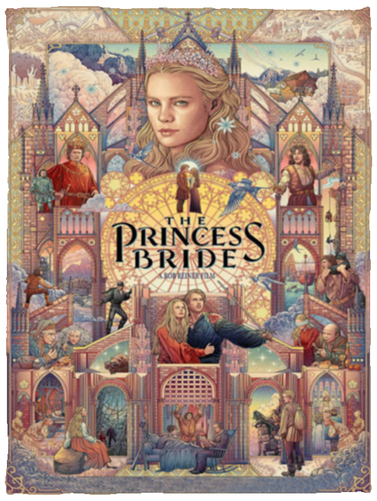 The Princess Bride Blanket, The Princess Bride Fleece, Sherpa Blanket Gifts VPS Cozy Plush Fleece Blanket - 30x40