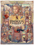 The Princess Bride Blanket, The Princess Bride Fleece, Sherpa Blanket Gifts VPS Cozy Plush Fleece Blanket - 30x40