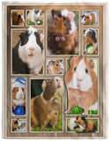 Guinea Pig 3D Blanket, Guinea Pig Love The Day Fleece, Sherpa Blanket VPL Cozy Plush Fleece Blanket - 60x80