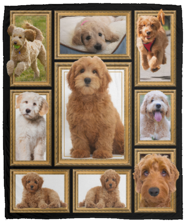 Goldendoodle 3D Blanket, Goldendoodle Lover Fleece, Sherpa Blanket VPM Cozy Plush Fleece Blanket - 50x60