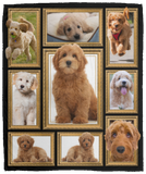 Goldendoodle 3D Blanket, Goldendoodle Lover Fleece, Sherpa Blanket VPM Cozy Plush Fleece Blanket - 50x60