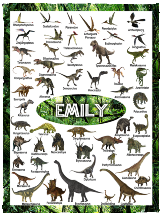 Emily - VPS Cozy Plush Fleece Blanket - 30x40