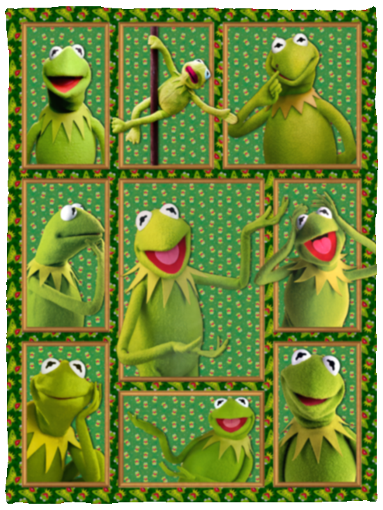 Kermit the Frog Blanket, Kermit the Frog Movies Fleece, Sherpa Blanket VPS Cozy Plush Fleece Blanket - 30x40