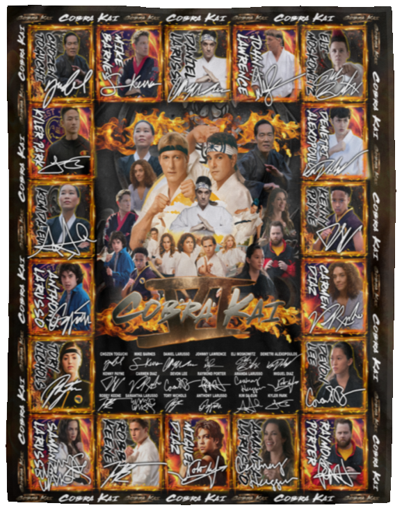 Cobra Kai Blankets, Cobra Kai TV Series Fleece, Sherpa Blanket VPL Cozy Plush Fleece Blanket - 60x80