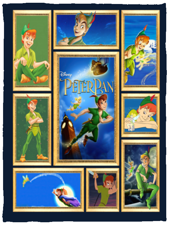 Peter Pan Blanket, Peter Pan 3D Album Fleece, Sherpa Blanket - VPS Cozy Plush Fleece Blanket - 30x40