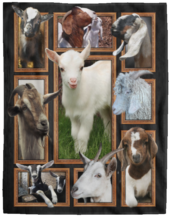 Goat Blanket, Goat 3D Fleece, Sherpa Blanket, Goat Lover Gift Ideas VPL Cozy Plush Fleece Blanket - 60x80