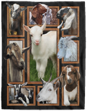 Goat Blanket, Goat 3D Fleece, Sherpa Blanket, Goat Lover Gift Ideas VPL Cozy Plush Fleece Blanket - 60x80