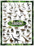 Carson - VPS Cozy Plush Fleece Blanket - 30x40