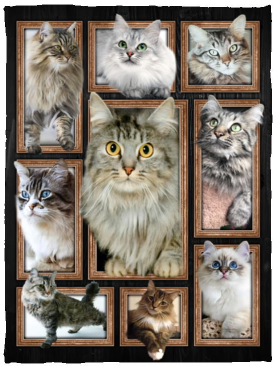 CATS 3D Blanket, Cute Cat Fleece, Sherpa Blanket, Gift Ideas - VPS Cozy Plush Fleece Blanket - 30x40