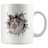 cat 25
