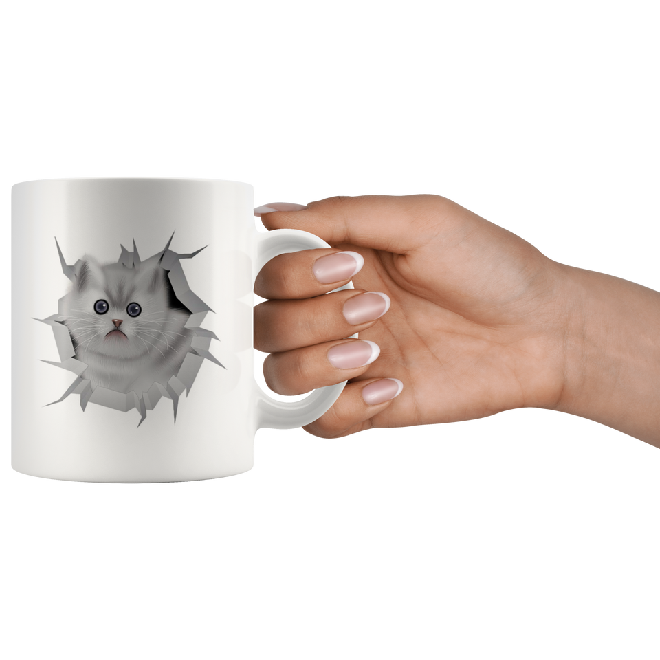 cat 14