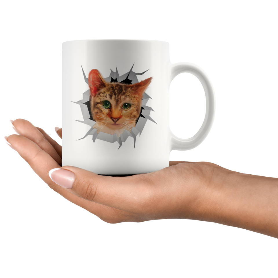 cat 8
