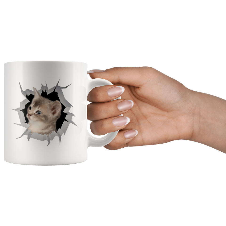 cat 24
