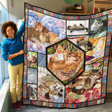 Cat Quilt, Cat Quilt Blanket Gifts For Birthday, Christmas