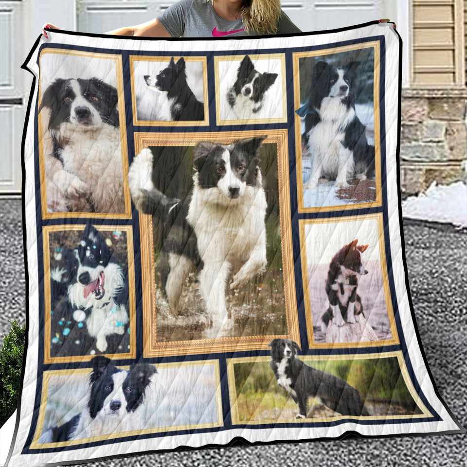 Border Collie Quilt, Border Collie Lover Quilt Blanket Soft and Warm