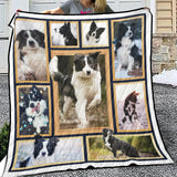 Border Collie Quilt, Border Collie Lover Quilt Blanket Soft and Warm