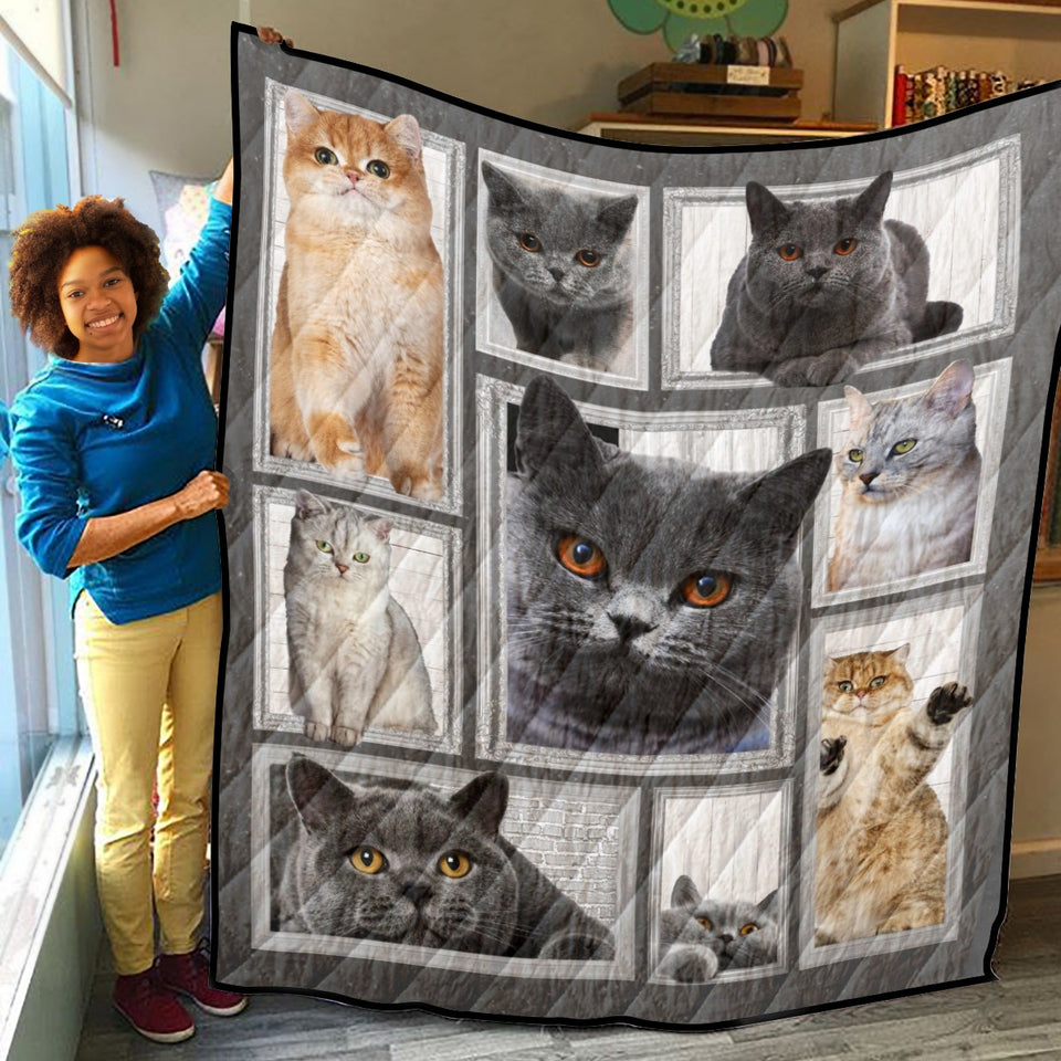 Cat Big Love With Cats Blanket, Cats 3D Quilt, Fleece, Sherpa Blanket