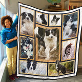 Border Collie Quilt, Border Collie Lover Quilt Blanket Soft and Warm
