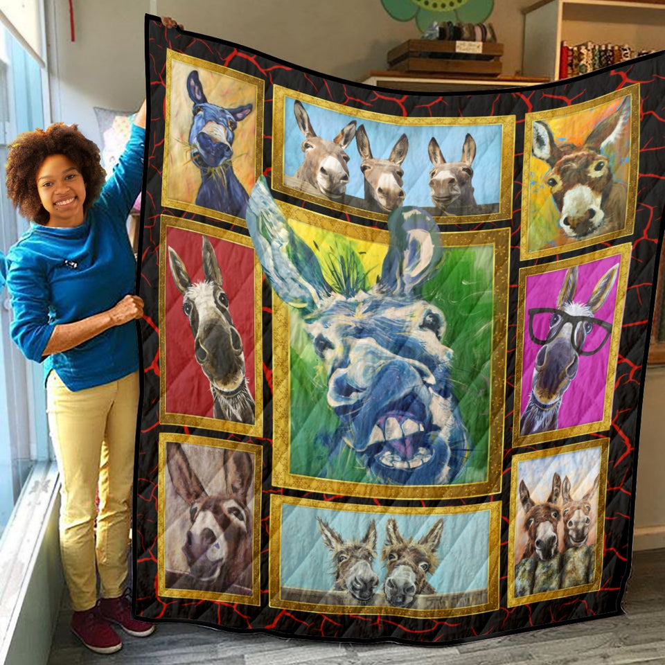 Donkey Quilt, Donkey Funny Quilt Blanket Soft and Warm, Gift Ideas