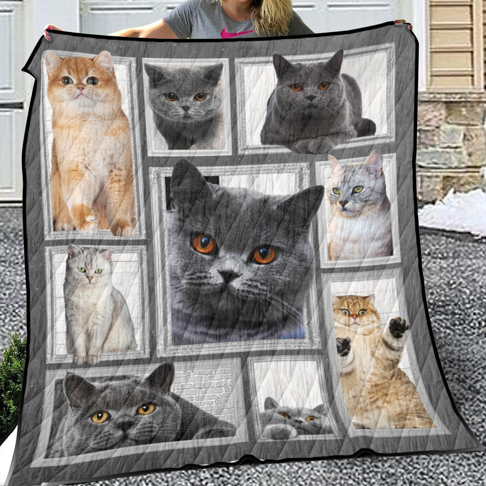 Cat Big Love With Cats Blanket, Cats 3D Quilt, Fleece, Sherpa Blanket