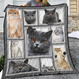 Cat Big Love With Cats Blanket, Cats 3D Quilt, Fleece, Sherpa Blanket