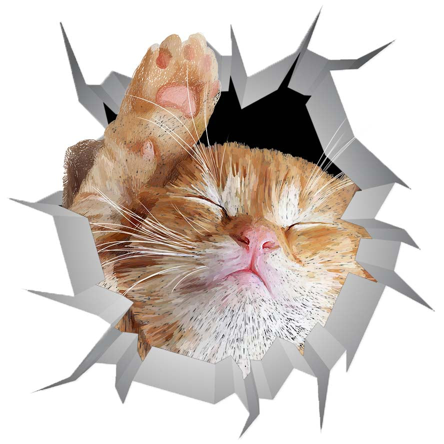 cat 2