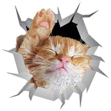cat 2