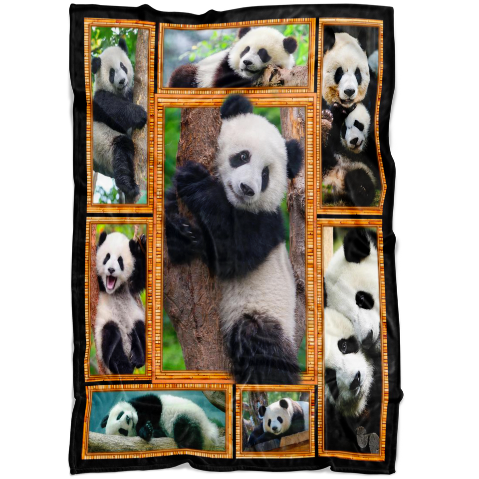 Panda 3D copy