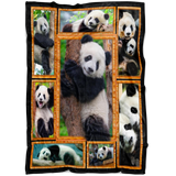 Panda 3D copy