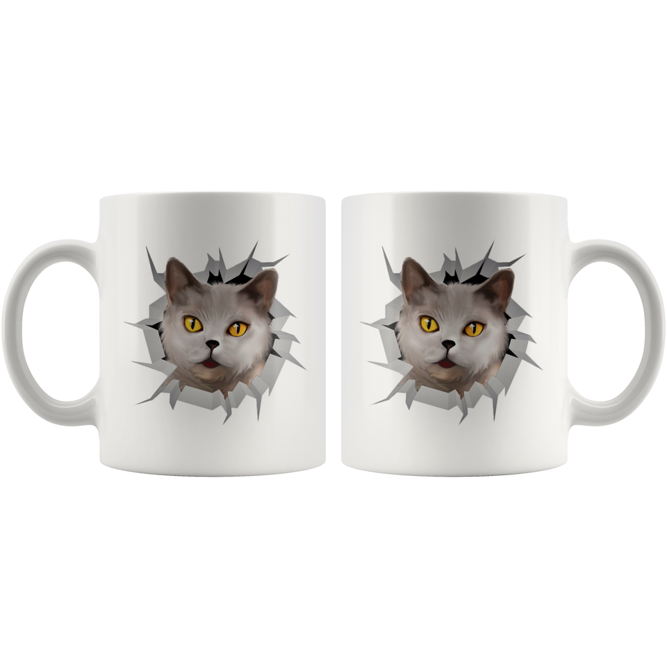 cat 1