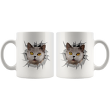 cat 1