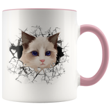 cat 107