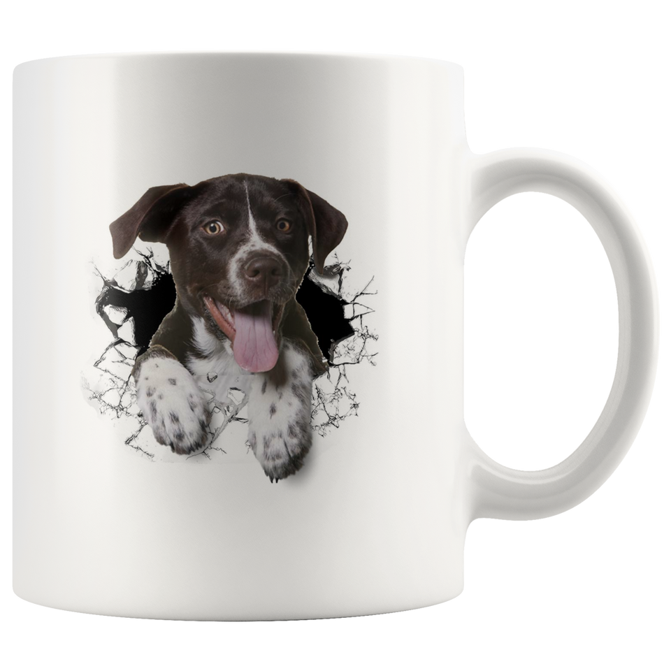 dog 1