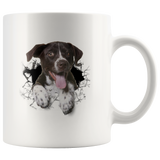 dog 1