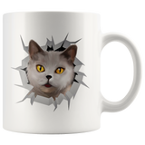 cat 1