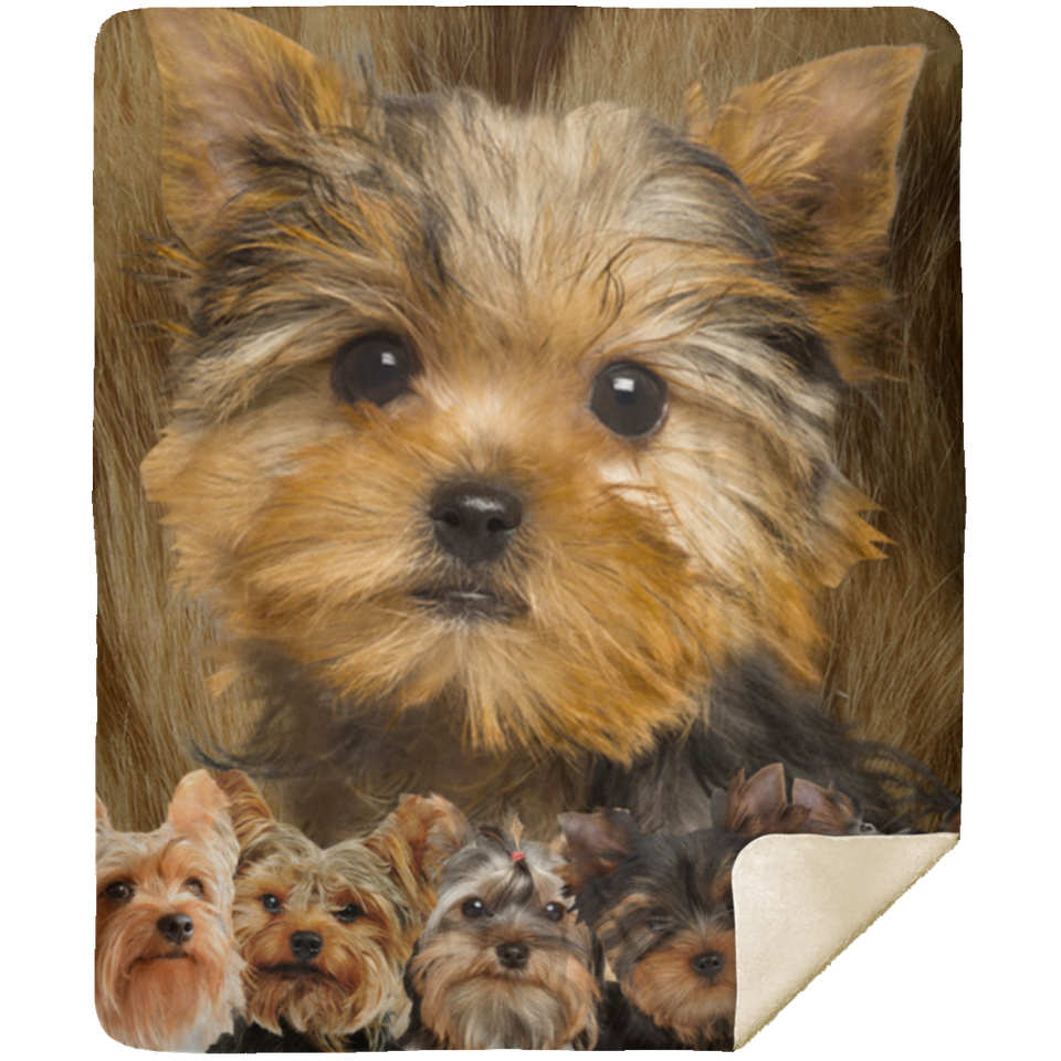 Yorkshire Terrier Blanket, Yorkie Dog Fleece, Sherpa Blanket, Yorkie 3D Blanket - MSHM Premium Mink Sherpa Blanket 50x60