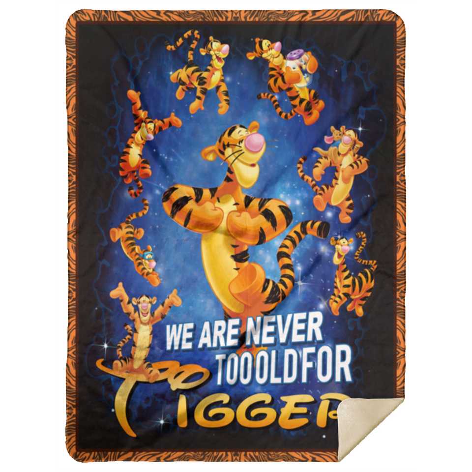 We Are Never Too Old For Tigger Blanket The Tigger Quilt Fleece Sherpa Throw MSHL Premium Mink Sherpa Blanket 60x80