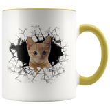 cat 112