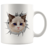 cat 2